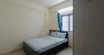 1 BHK Apartment For Rent in White Orchids Whitefield Bangalore 6715006