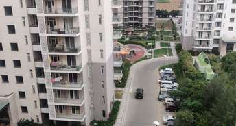3 BHK Apartment For Rent in Bestech Park View Ananda Sector 81 Gurgaon 6715658