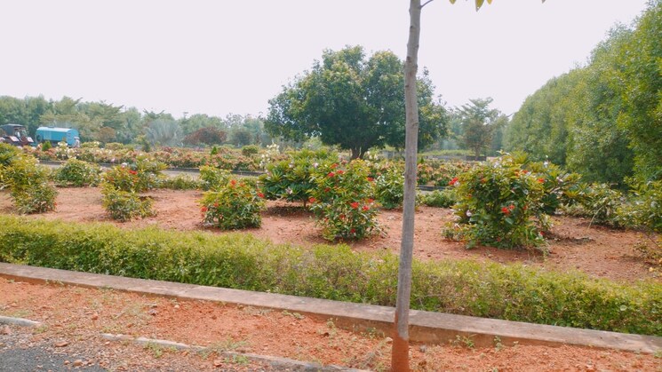 Garden, bhogapuram  267 Sq.Yd. Plot In Bhogapuram Vizag 6715728