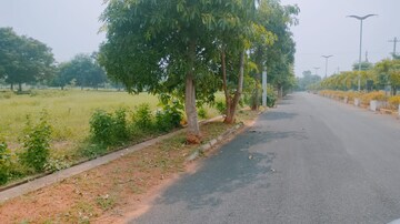  Plot For Sale in Bhogapuram