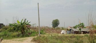 Plot For Resale in Hindon Air Force Ghaziabad  6716139