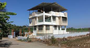 3 BHK Villa For Resale in Alibag Raigad 6716084