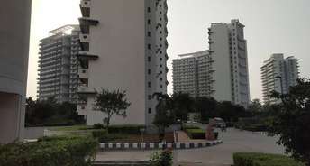5 BHK Apartment For Resale in Tata Raheja Raisina Residency Sector 59 Gurgaon 6716761