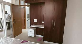 1 BHK Builder Floor For Rent in Ayachi Apartments Sector 45 Gurgaon 6716729