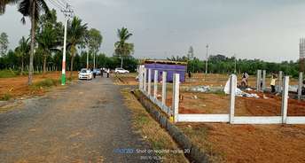  Plot For Resale in Anekal Bangalore 6716939