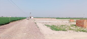 Plot For Resale in Neharpar Faridabad  6717010