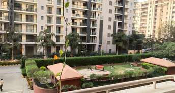 2.5 BHK Builder Floor For Rent in Suncity Essel Tower Sector 28 Gurgaon 6717530