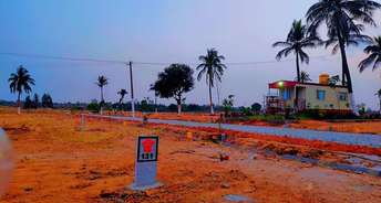  Plot For Resale in Whitefield Bangalore 6689481