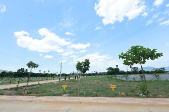 Plot For Resale in Civil Lines Moradabad  6717893