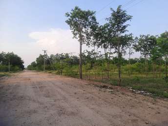  Plot For Resale in Viralimalai Trichy 6718721