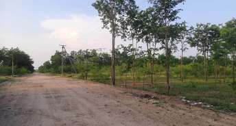  Plot For Resale in Viralimalai Trichy 6718721