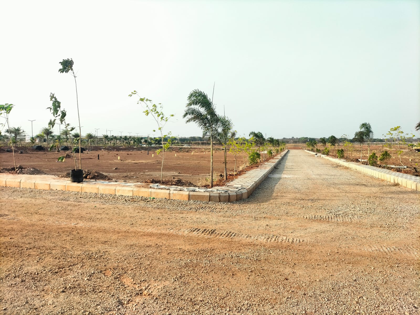 Plot For Resale in Sadashivpet Hyderabad  6718881