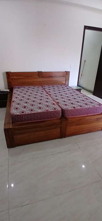 2 BHK Builder Floor For Rent in Sushant Lok 1 Sector 43 Gurgaon  6718883