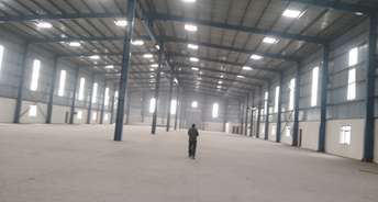Commercial Warehouse 50000 Sq.Ft. For Rent In Dadri Greater Noida 6719137