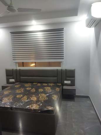 1 BHK Builder Floor For Rent in Dlf City Phase 3 Gurgaon 6719135