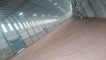Commercial Warehouse 30000 Sq.Ft. For Rent in Dadri Main Road Greater Noida  6719165