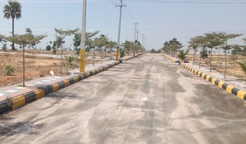 Plot For Resale in Sri Nagar Colony Hyderabad  6719322