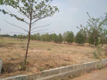  Plot For Resale in Vanasthalipuram Hyderabad 6719519