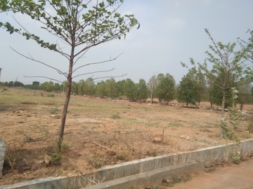 Plot For Resale in Vanasthalipuram Hyderabad  6719519