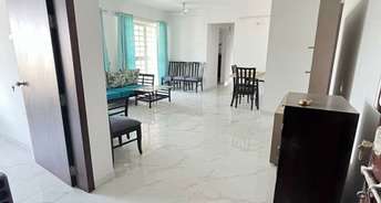 3 BHK Builder Floor For Rent in Kothrud Pune 6719732