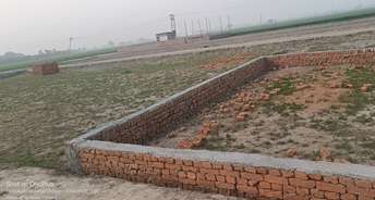  Plot For Resale in Sector 89 Faridabad 6720203