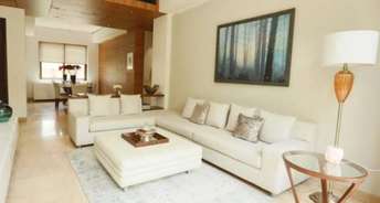 3 BHK Penthouse For Resale in Ambience Creacions Sector 22 Gurgaon 6720527