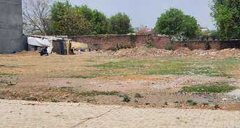  Plot For Resale in Sector 11 Faridabad 6720589