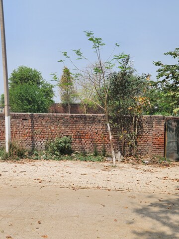 Plot For Resale in Sector 11 Faridabad  6720604