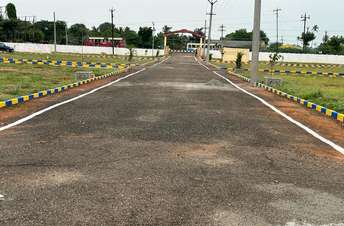 Plot For Resale in Sector 67 Gurgaon 6721106