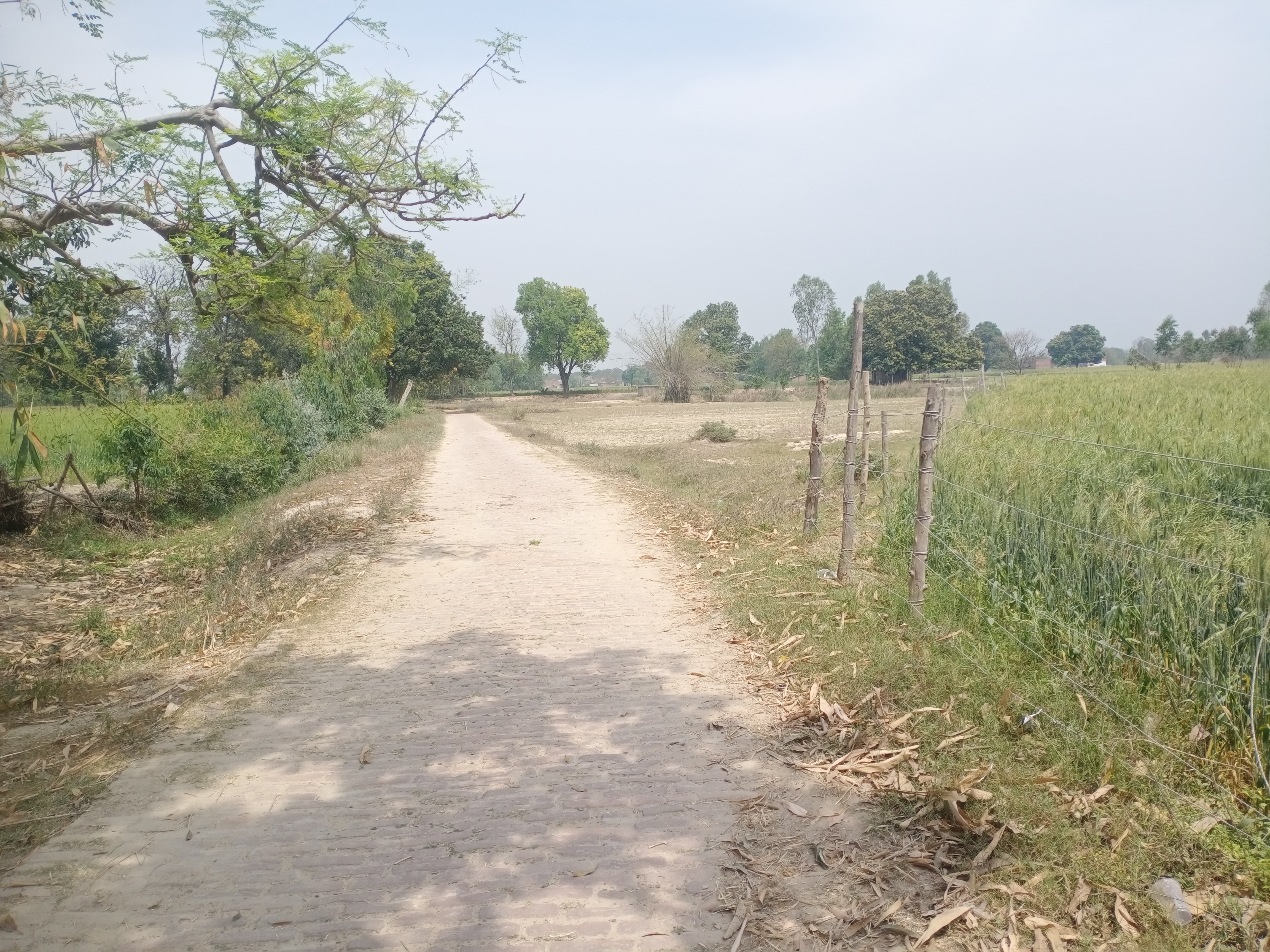 Commercial Land 3 Acre For Resale in Nawabganj Unnao  6720954