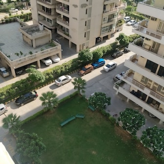 3 BHK Apartment For Resale in Rajvilas Apartments Sector 52 Gurgaon  6721248