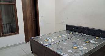 3 BHK Apartment For Resale in Sector 127 Mohali 6721423
