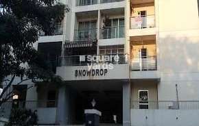 1 BHK Apartment For Rent in Snowdrop CHS Borivali West Mumbai 6721488