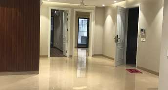 4 BHK Builder Floor For Rent in Navjeevan Vihar Delhi 6722212
