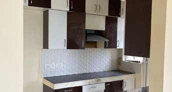 2 BHK Apartment For Rent in ACE Golf Shire Sector 150 Noida 6722235