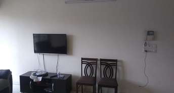1 BHK Apartment For Rent in Satyam Shivam Phase 2 Kharadi Pune 6722425