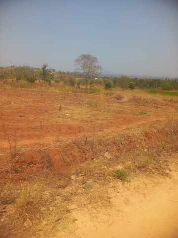 Plot For Resale in Kanakapura Bangalore  6722841