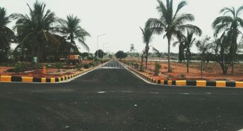 Plot For Resale in Pulimamidi Hyderabad  6722872