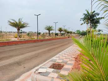 Plot For Resale in Apex Green Sector 8 Sonipat  6722991