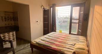 1 BHK Apartment For Rent in Sector 123 Mohali 6723264