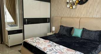 3 BHK Apartment For Resale in Nh 22 Chandigarh 6723507