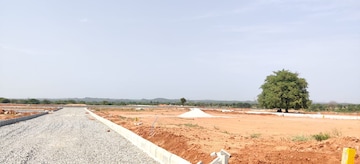 Plot For Resale in Pulimamidi Hyderabad  6723522