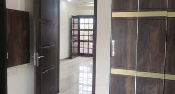 3 BHK Builder Floor For Rent in Ansal Sushant Floors Sushant Lok ii Gurgaon 6723685