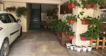 2 BHK Apartment For Rent in Shahastradhara Road Dehradun 6723837