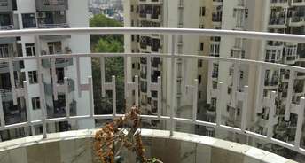3 BHK Apartment For Rent in C Dot Co operative Group Housing Society Sector 56 Gurgaon 6724029