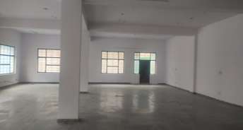 Commercial Warehouse 12000 Sq.Yd. For Rent In Sector 65 Noida 6724488