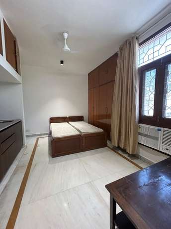 1 RK Apartment For Rent in C9 Vasant Kunj Vasant Kunj Delhi 6724761