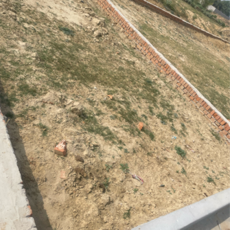 Plot For Resale in Bakhshi Ka Talab Lucknow  6724807