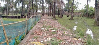 Plot For Resale in Diamond Harbour Road Kolkata  6724830