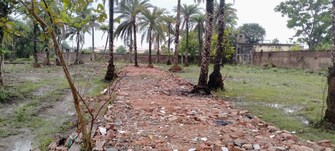 Plot For Resale in Diamond Harbour Road Kolkata  6724830